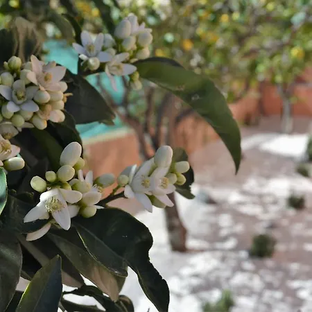 Tatil Evi Mura