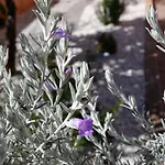 Mura Cala Gonone