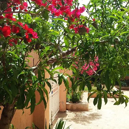 Mura Holiday home