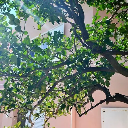 Prázdninový dům Mura *