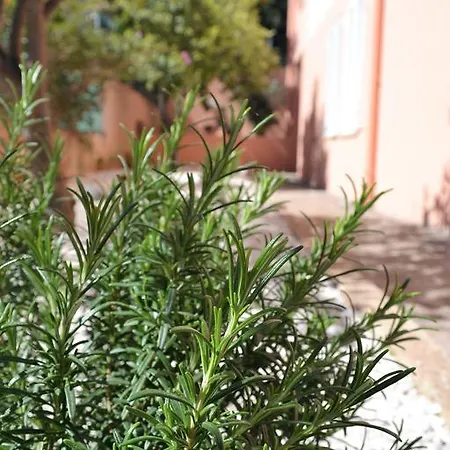 Prázdninový dům Mura *