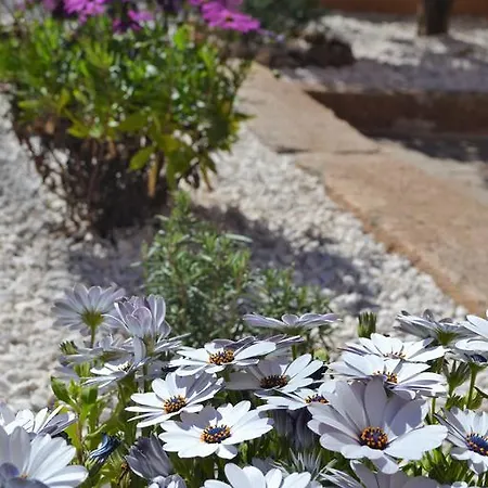 Holiday home Mura Cala Gonone