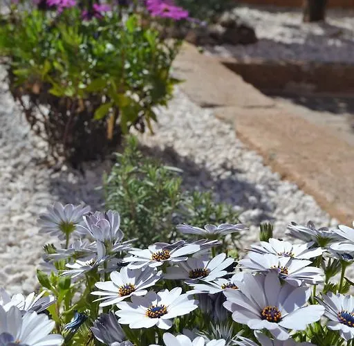 Vakantiehuis Mura Cala Gonone