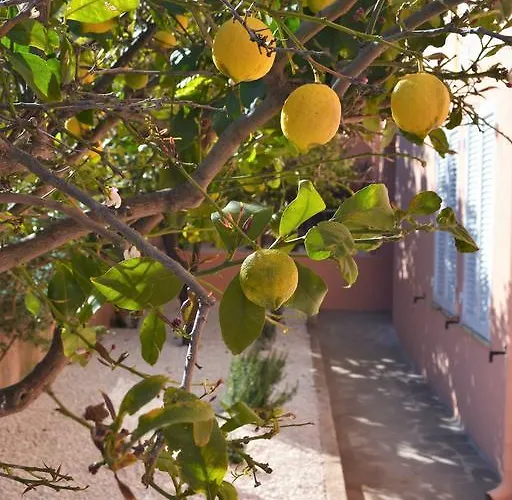 Mura Vakantiehuis Cala Gonone